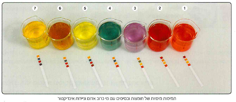 (בספר תמונה, היעזר במנחה)